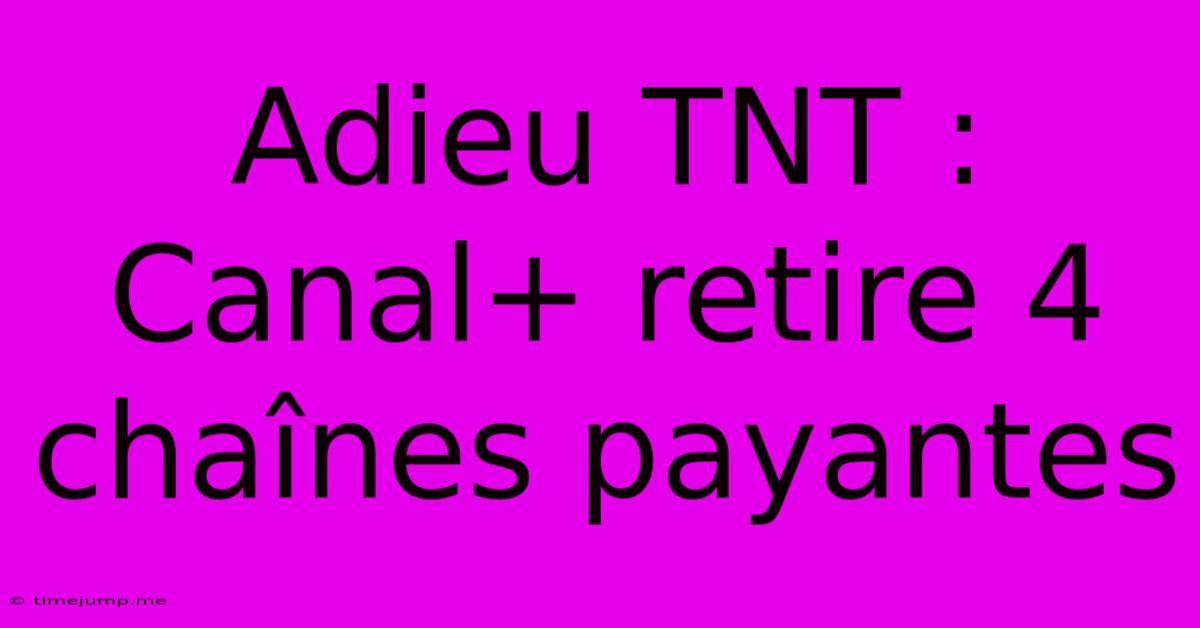 Adieu TNT : Canal+ Retire 4 Chaînes Payantes Adieu TNT : Canal+ Retire 4 Chaînes Payantes