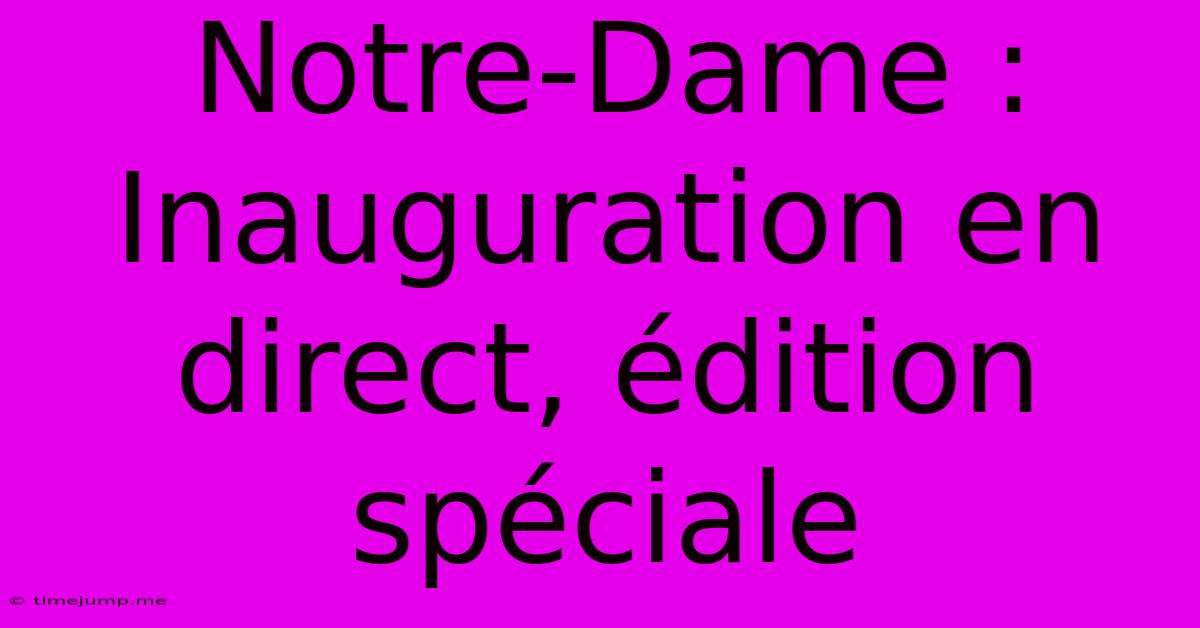 Notre-Dame : Inauguration En Direct, Édition Spéciale