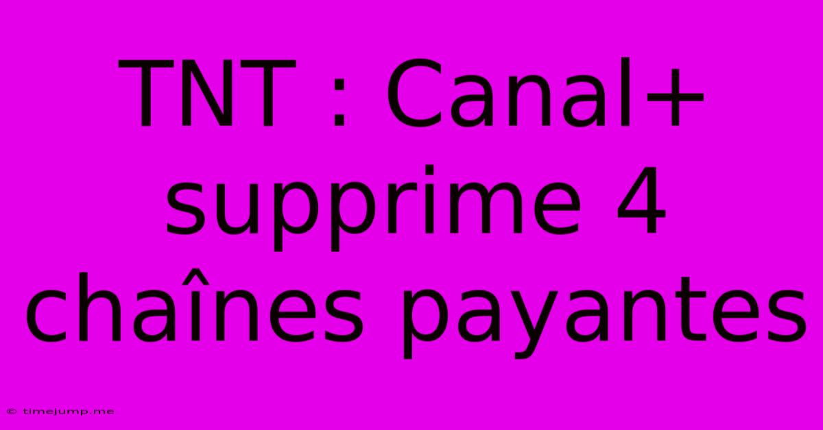 TNT : Canal+ Supprime 4 Chaînes Payantes TNT : Canal+ Supprime 4 Chaînes Payantes